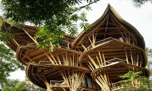 بامبو یکی از متریال‌های معماری